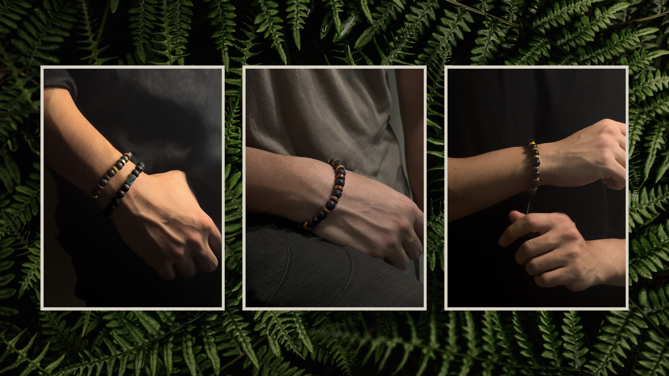 Caterpillar & Monarch Collection