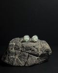Reformed Studs: Amazonite